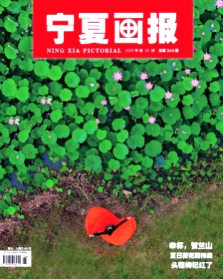 宁夏画报杂志